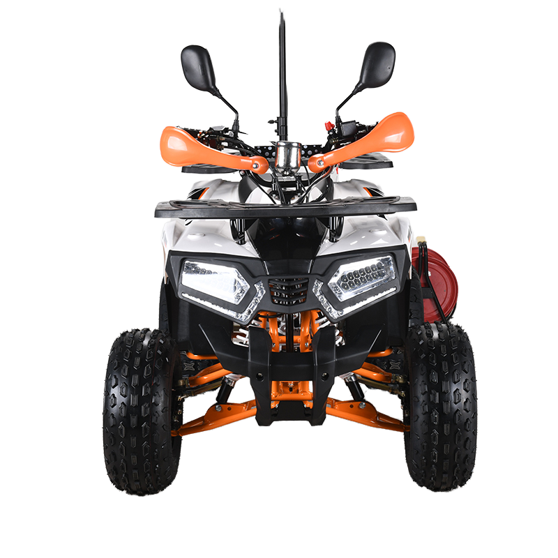 110cc CE EPA  ATV Adult 4-Whee - Outdoor Adventure Quad Biking review and price
