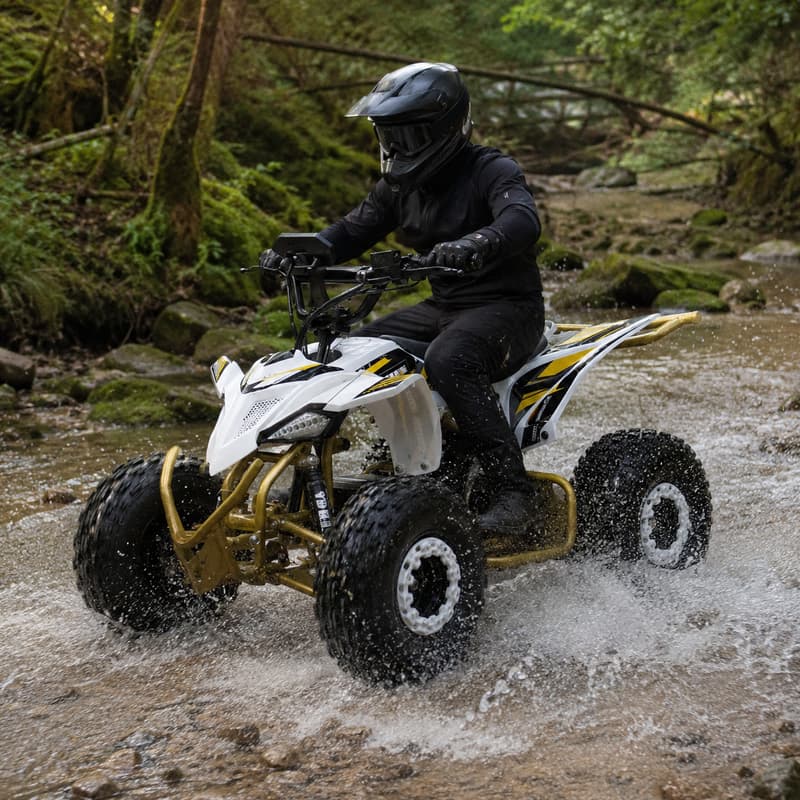 Adult Dune Buggy Customized Fo - Outdoor Adventure Quad Biking review and price